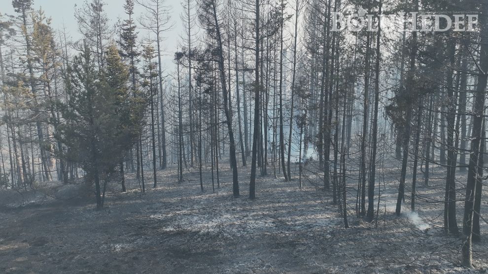 Ormanlık alanda çıkan yangın söndürüldü