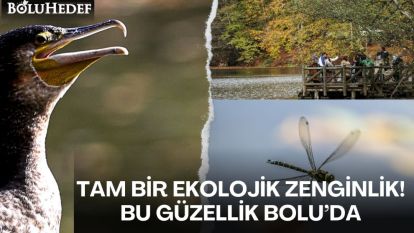 BU GÜZELLİK BOLU'DA