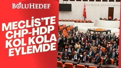 CHP VE HDP GRUBU BİRLİKTE POZ VERDİ