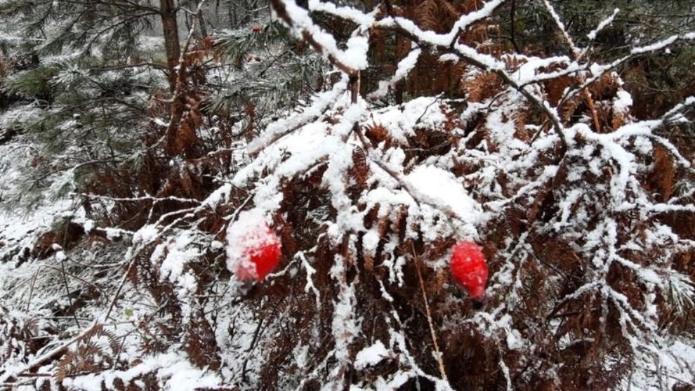 BOLU'DA KAR YAĞIŞI TEKRAR BAŞLADI