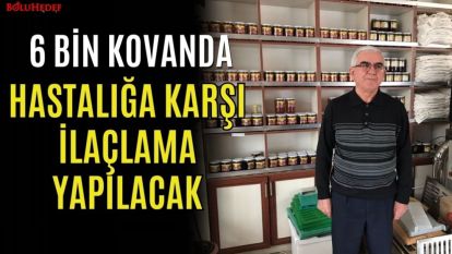 6 BİN KOVANDA  HASTALIĞA KARŞI İLAÇLAMA YAPILACAK