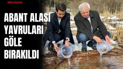 ABANT ALASI YAVRULARI GÖLE BIRAKILDI