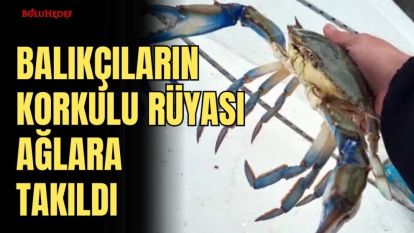 BALIKÇILARIN KORKULU RÜYASI AĞLARA TAKILDI