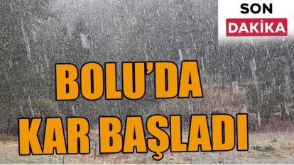 Bolu Dağı geçişinde kar yağışı başladı