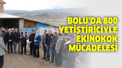 BOLU'DA 800 YETİŞTİRİCİYLE EKİNOKOK MÜCADELESİ