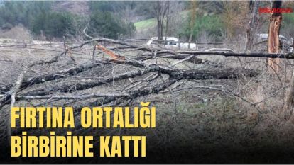 FIRTINA ORTALIĞI BİRBİRİNE KATTI, ONLARCA AĞAÇ DEVRİLDİ