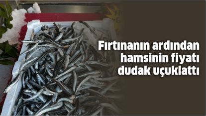 Fırtınanın ardından hamsinin fiyatı dudak uçuklattı