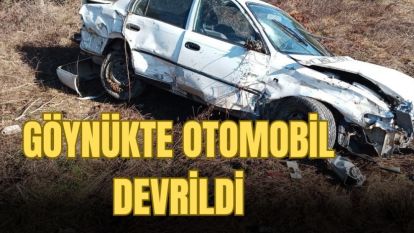 Göynük'te devrilen otomobilin sürücüsü yaralandı