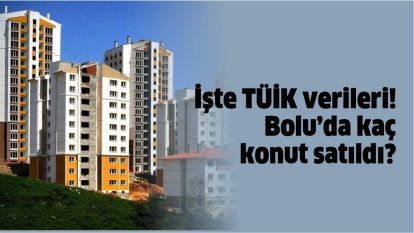 İşte TÜİK verileri! Bolu'da kaç konut satıldı?