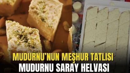 MUDURNU SARAY HELVASI