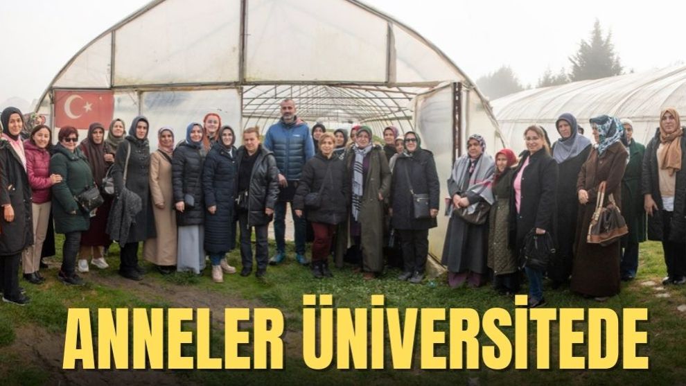 Anneler Üniversitede