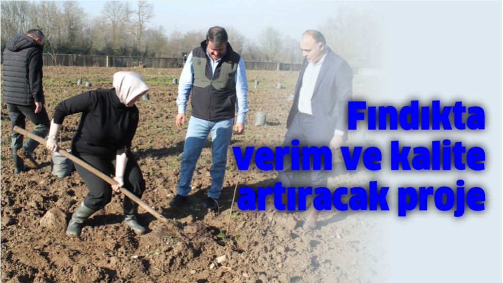 Fındıkta verim ve kalite artıracak proje