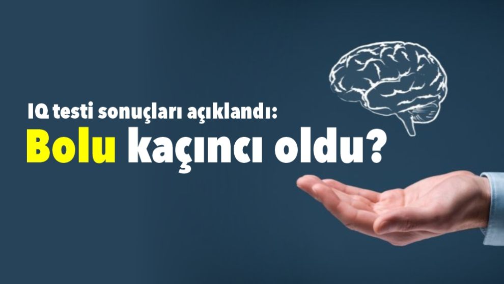 IQ testi sonuçları açıklandı: Bolu kaçıncı oldu?