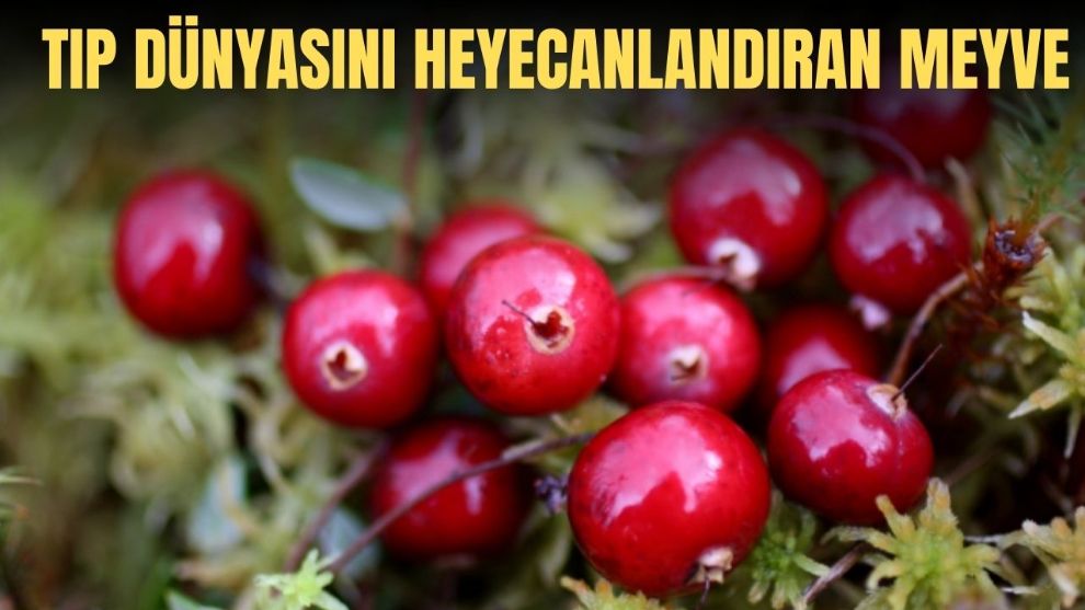 Tıp dünyasını heyecanlandıran meyve! Kanserli hücreleri 4 saat içinde yok etti