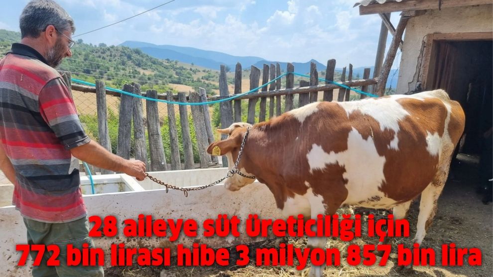 28 aileye süt üreticiliği için 772 bin lirası hibe 3 milyon 857 bin lira