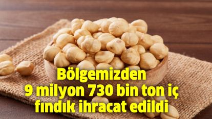 Bölgemizden 9 milyon 730 bin ton iç fındık ihracat edildi