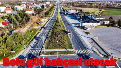 Bolu gül bahçesi olacak