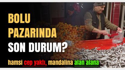 Bolu pazarında son durum ne? Hamsi cep yakıyor, mandalina alan alana!