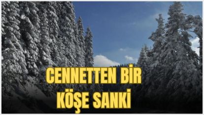 CENNETTEN BİR KÖŞE SANKİ