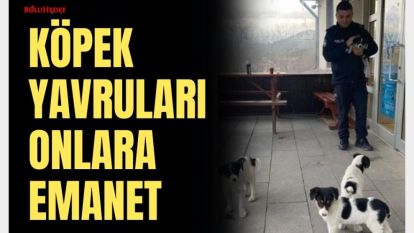 KÖPEK YAVRULARI ONLARA EMANET