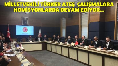 MİLLETVEKİLİ TÜRKER ATEŞ  ÇALIŞMALARA KOMİSYONLARDA DEVAM EDİYOR...