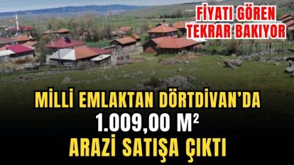 MİLLİ EMLAKTAN DÖRTDİVAN'DA ARAZİ SATIŞA ÇIKTI