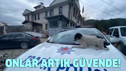 Onlar artık güvende!