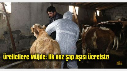 Üreticilere Müjde: İlk Doz Şap Aşısı Ücretsiz!