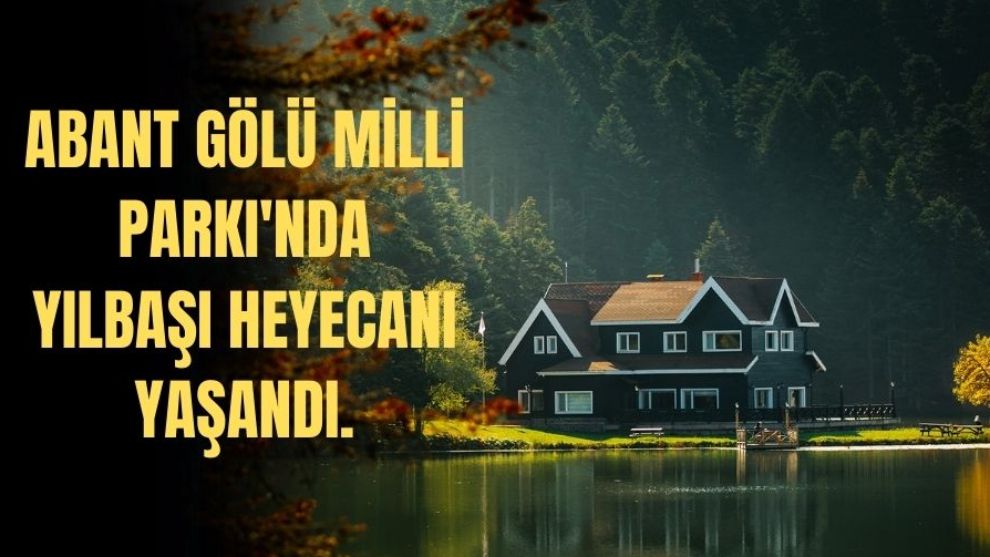 ABANT GÖLÜ MİLLİ PARKI'NDA YILBAŞI HEYECANI YAŞANDI.