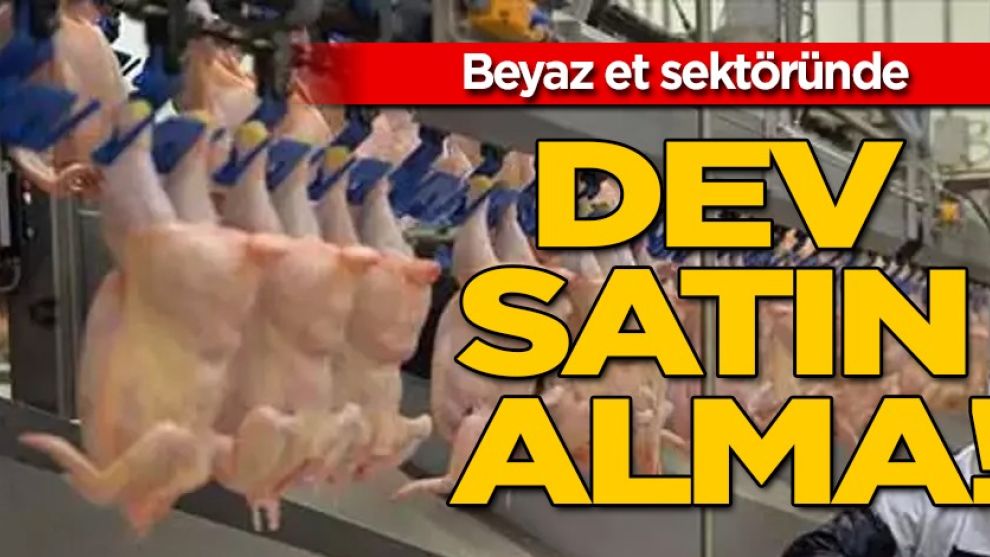 Beyaz et sektöründe dev satın alma