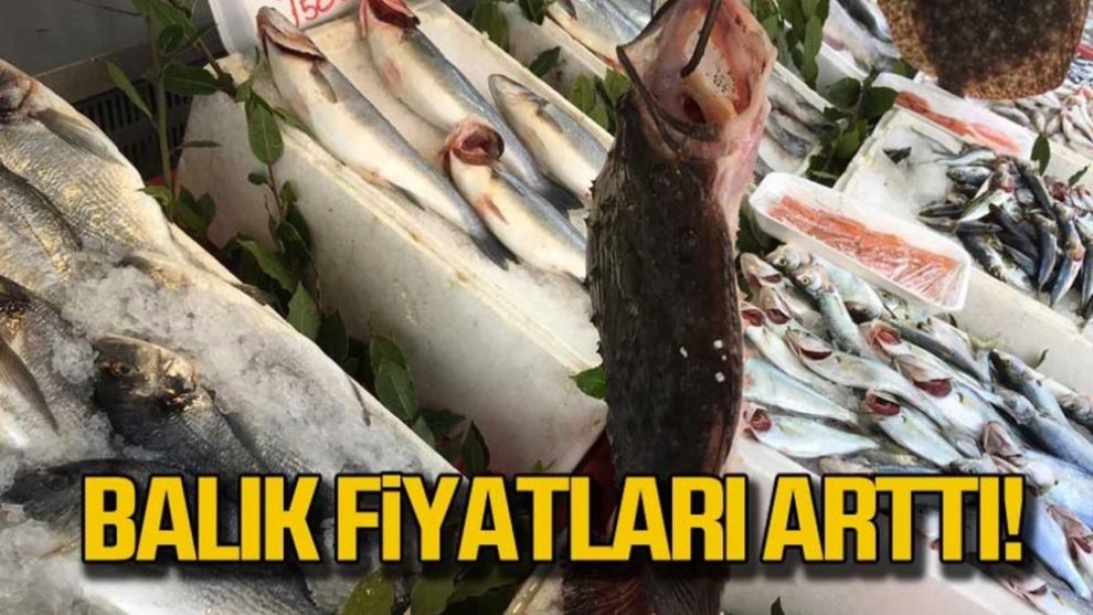 Bolu’da balık fiyatları ne kadar oldu? Sıcak hava tezgahı etkiledi