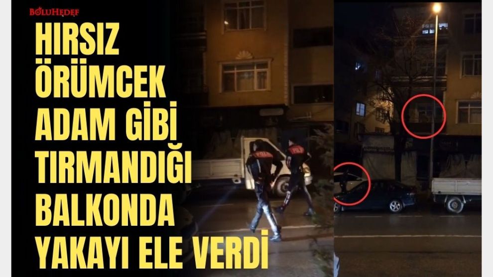 HIRSIZ ÖRÜMCEK ADAM GİBİ TIRMANDIĞI BALKONDA YAKAYI ELE VERDİ