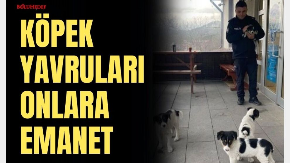 KÖPEK YAVRULARI ONLARA EMANET