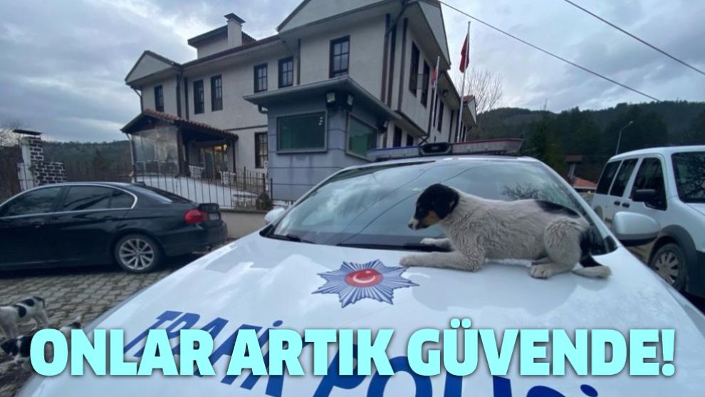 Onlar artık güvende!