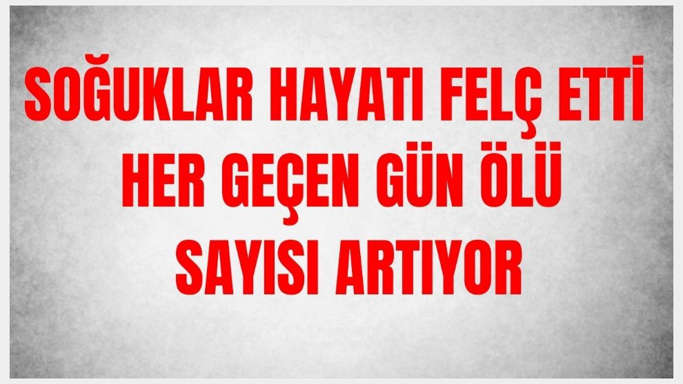 Soğuklar hayatı felç etti!