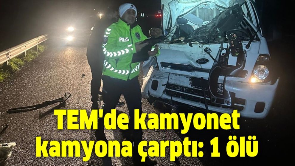 TEM'de kamyonet kamyona çarptı: 1 ölü