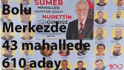 Bolu Merkez'de 43 Mahalle de 610 Muhtar Adayı