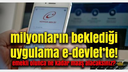 e-Devlet Üzerinden Emekli Maaşı Hesaplama Artık Mümkün