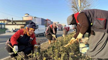 Düzce'yi kadınlar güzelleştiriyor