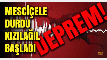 Mesciçele Köyü durdu Kızılağıl başladı: Bolu'da gece ve sabah saatlerinde deprem meydana geldi