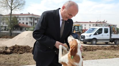 Sokaklarda saldırgan köpek kalmayacak