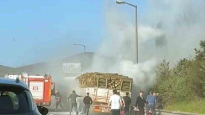 TEM'de ağaç yüklü tır alevlere teslim oldu