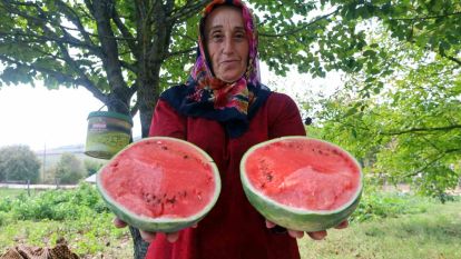 Üreticilere karpuz tohumu desteği