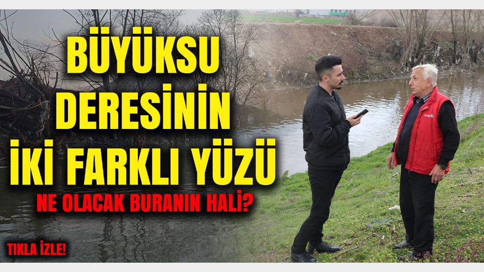 Bolu'nun meşhur Büyüksu deresinin görünen ve görünmeyen yüzü: Canlı yaşamı tamamen bitti