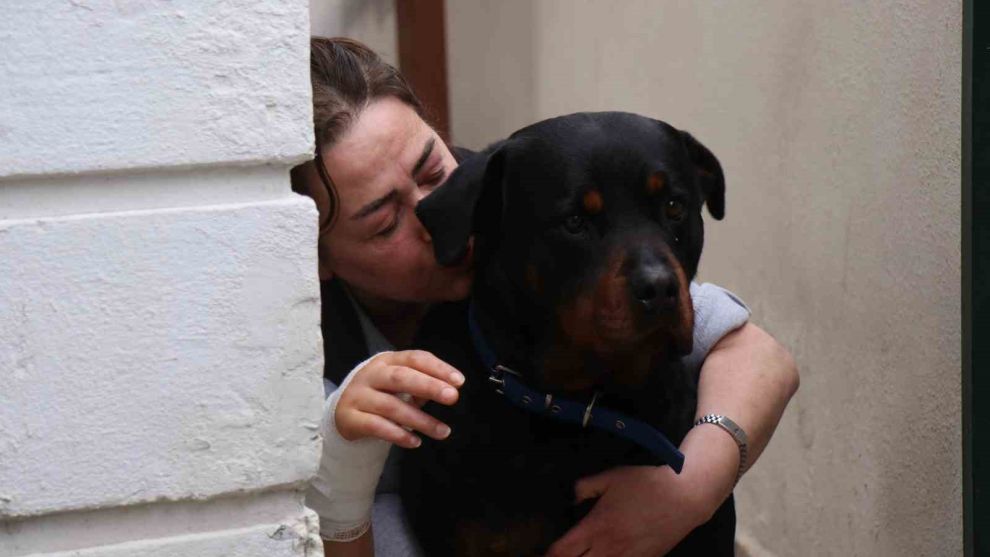 Beslediği köpeğin aynı cinsi tarafından sokakta saldırıya uğradı, dehşet anlarını böyle anlattı