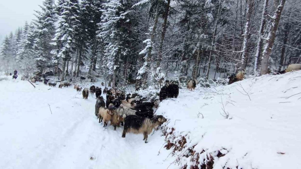 Sakarya'nın yüksek kesimleri beyaz gelinliğini giydi