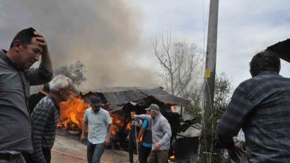 Gözü gibi baktığı oğlağı öldü sandı