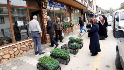 Havalar ısındı fidelerin ekim zamanı geldi