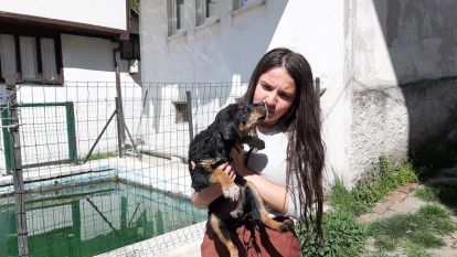 Havuzda boğulmak üzere olan yavru köpeği vatandaşlar kurtardı