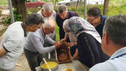 Karabük'te üreticiler ana arı yetiştirmenin püf noktalarını öğrendi